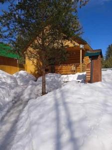 Богородское - 23