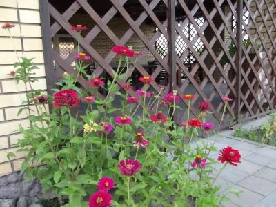 СКБ Кукуевка - 18