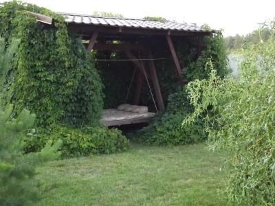 СКБ Кукуевка - 19