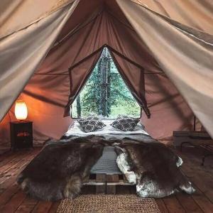BOHO CAMP - 92