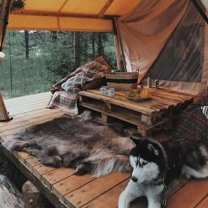 BOHO CAMP - 94