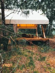 BOHO CAMP - 93
