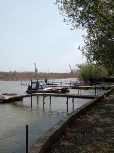 Бакланенок - 7