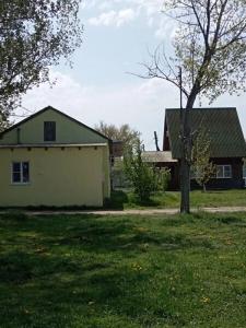 Бакланенок - 10