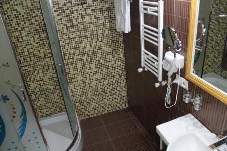 Borjomi Palace Health & Spa Center - 76