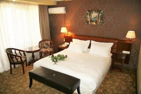 Borjomi Palace Health & Spa Center - 77