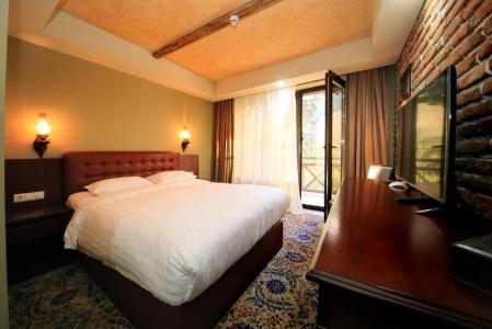 Borjomi Palace Health & Spa Center - 78