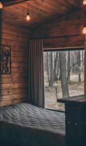 Forest story - 121