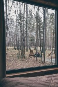 Forest story - 112