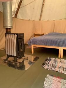 Глэмпинг Типи на берегу Белого моря - 43