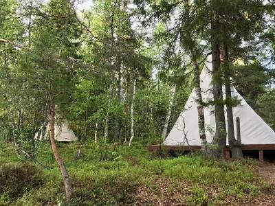 Глэмпинг Типи на берегу Белого моря - 31