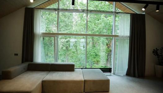 Сосны - 142