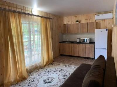 База отдыха У Романыча в Голубинке - 61