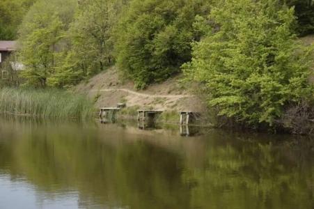 База отдыха У Романыча в Голубинке - 16