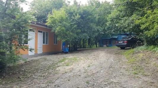 Гамма - 8