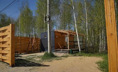 Шелест - 60