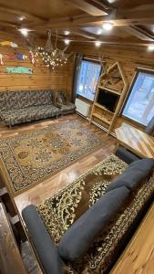 Золотой фазан - 25