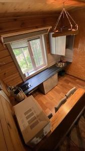 Золотой фазан - 26