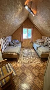 Золотой фазан - 27