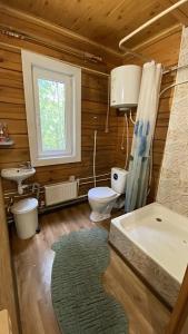 Золотой фазан - 28