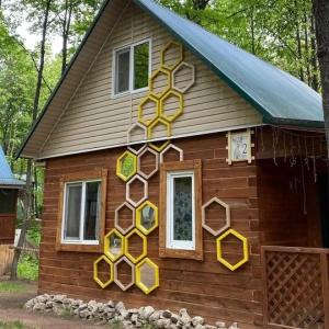 Золотой фазан - 29