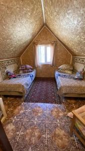 Золотой фазан - 31