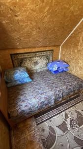 Золотой фазан - 32