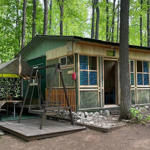 Золотой фазан - 19