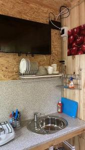 Золотой фазан - 22