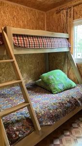 Золотой фазан - 20