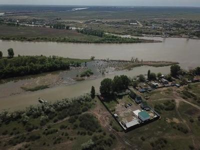 Бакланенок - 5