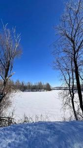 Гнездо - 60
