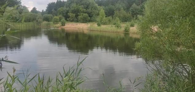 Мыльцевский Бор - 11