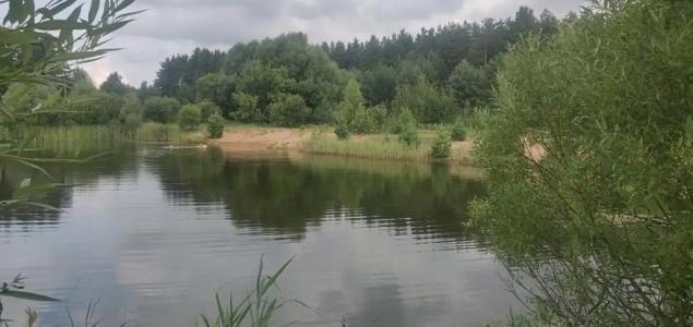 Мыльцевский Бор - 9