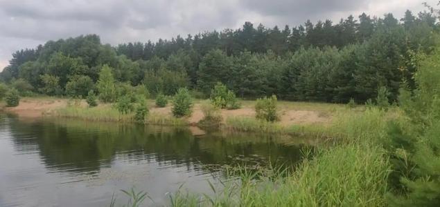 Мыльцевский Бор - 10