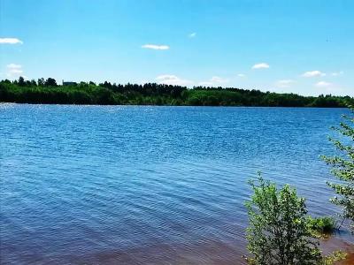 Мыльцевский Бор - 7