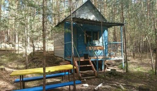 Сосновая горка - 6