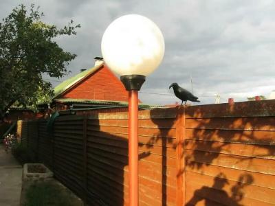 У Бондара на Загрэбли - 9