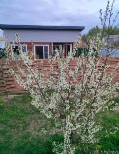 Домик у леса с сауной - 39