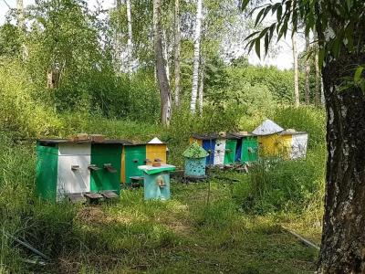 Три сестры - 4