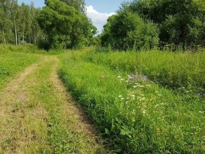 Три сестры - 5