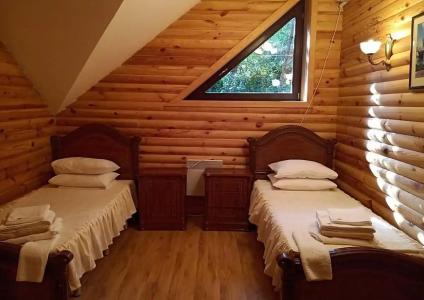 Пушкино - 331