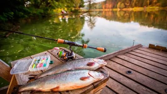Затон - 24