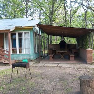Дубки у Валентины - 116