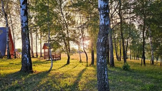 Другая жизнь - 35