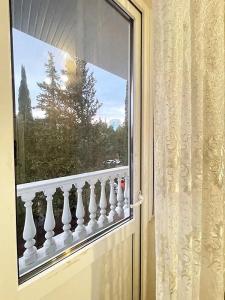Камелия 2 - 58