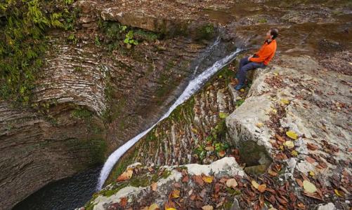 Зеленый гай - 43
