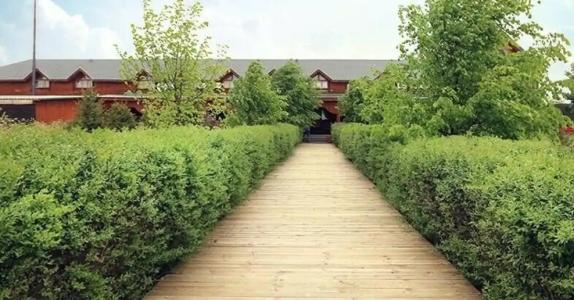 Дорошевичи - 4