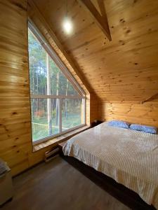 Magic Wood - 109