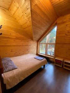 Magic Wood - 111